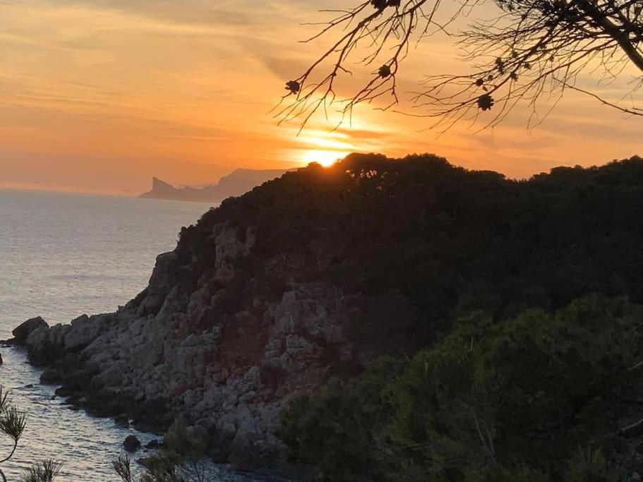 Athena Ohana, Les Pieds Dans L'Eau Bandol Extérieur photo